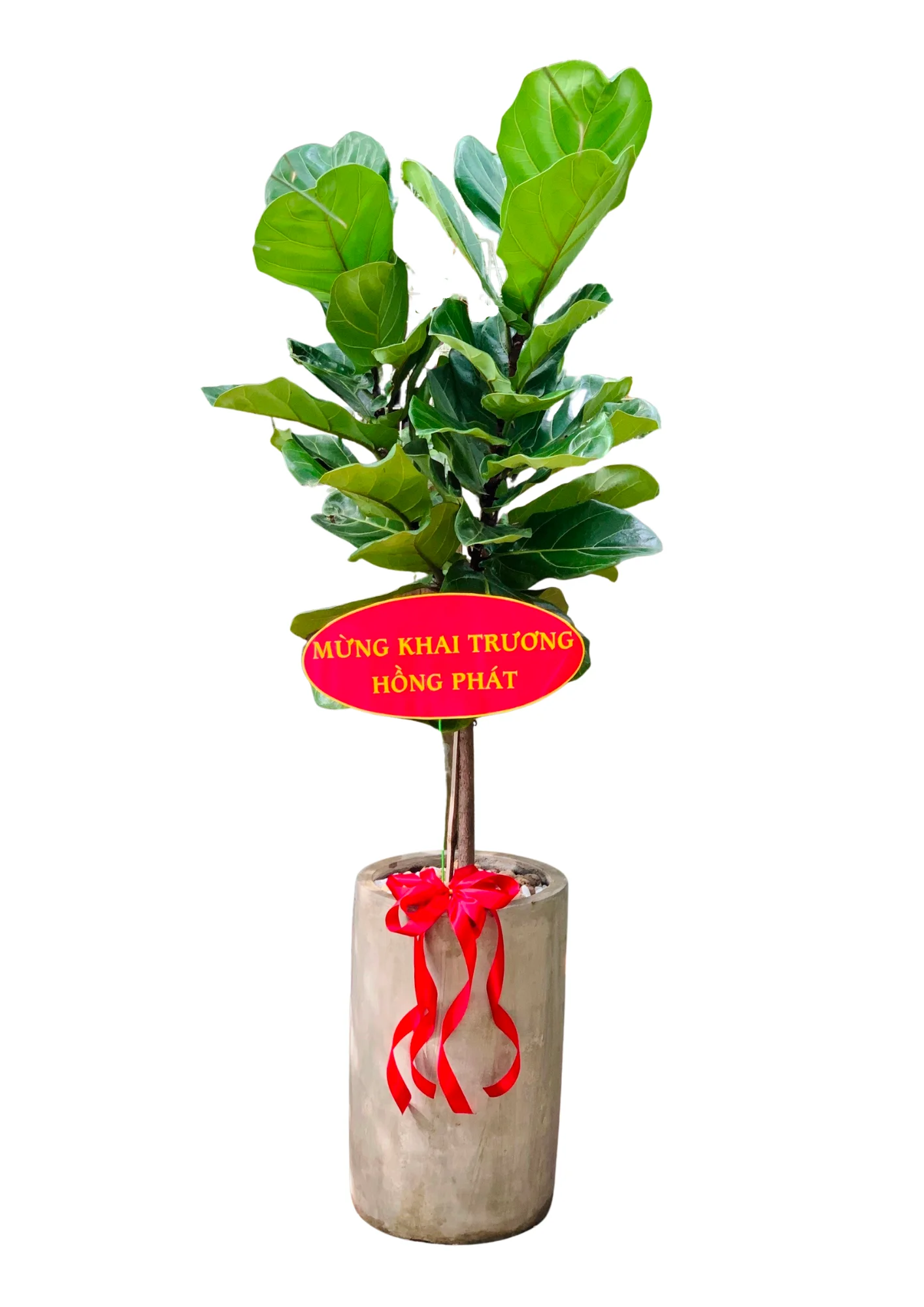 Bang Singapore Chau Xi Mang Tru