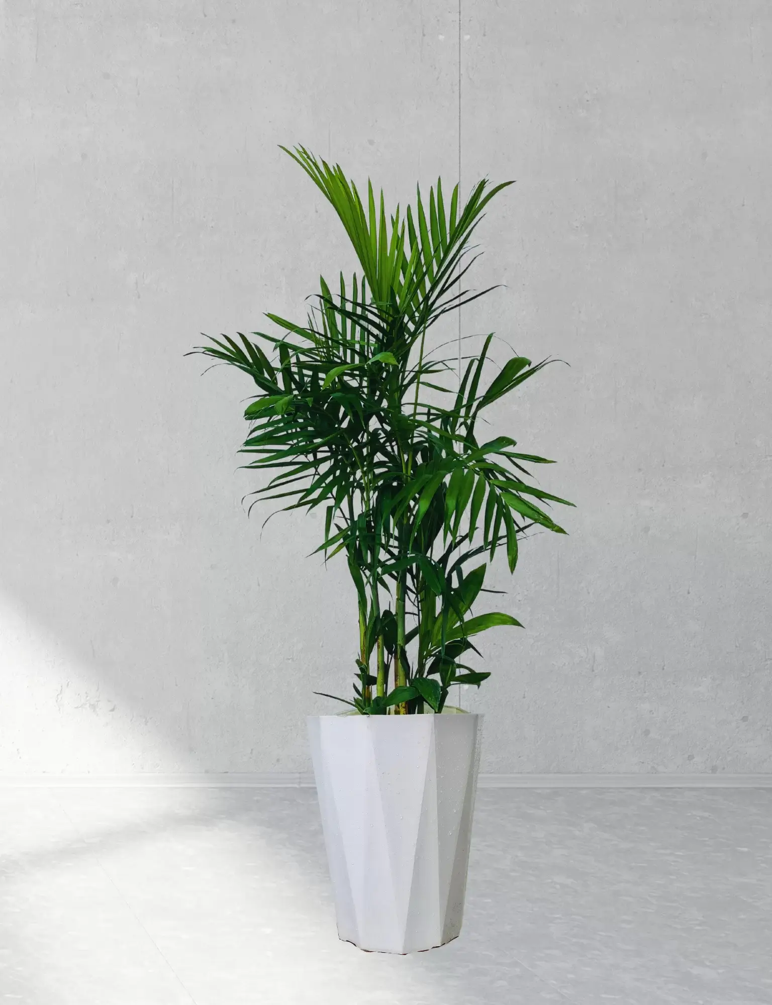 Thư Viện Web